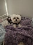 IMG_4437.jpeg