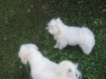 IMG_0769.jpg